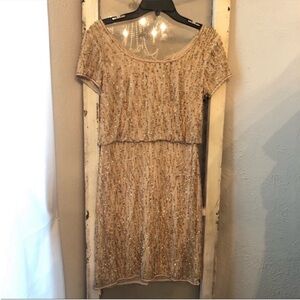 NWT Hand Beaded Adrianna Papell Special Occasion Dress size 8